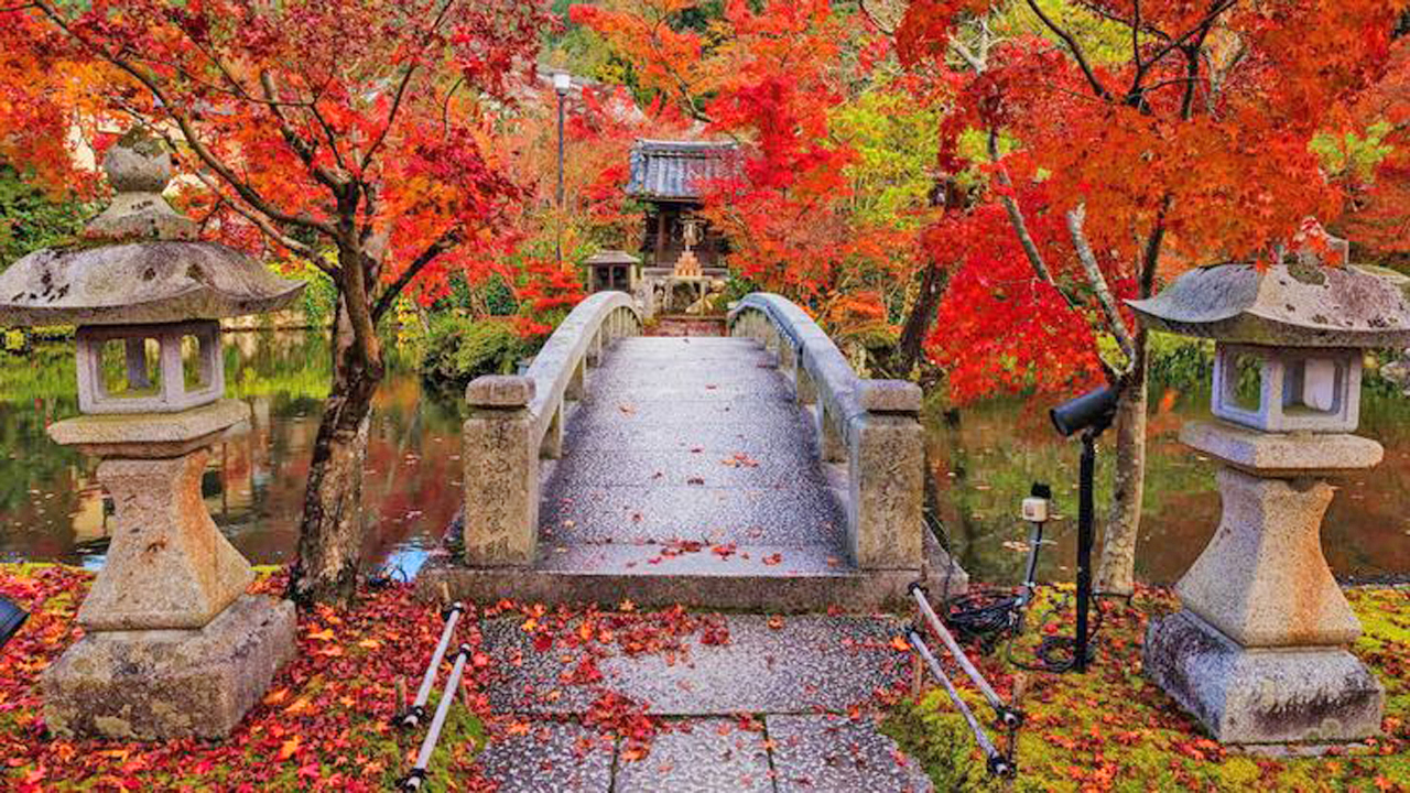 Kyoto2