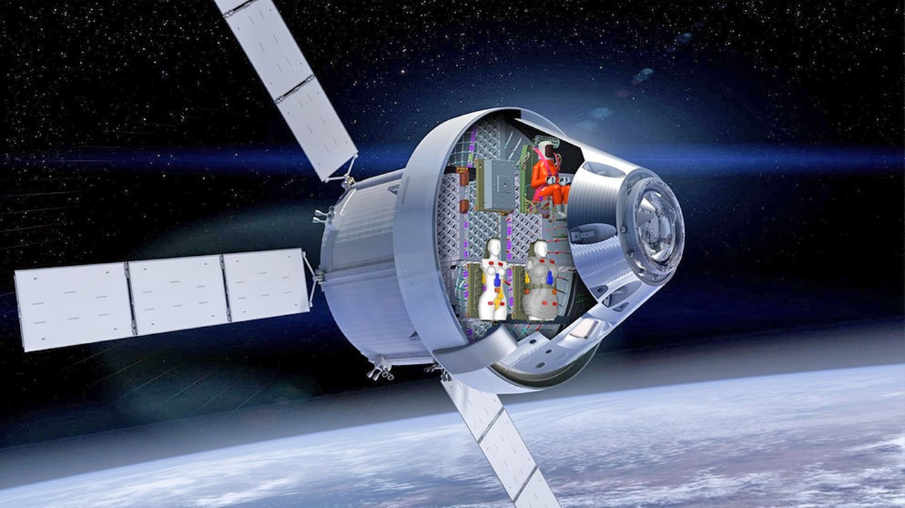 capsula