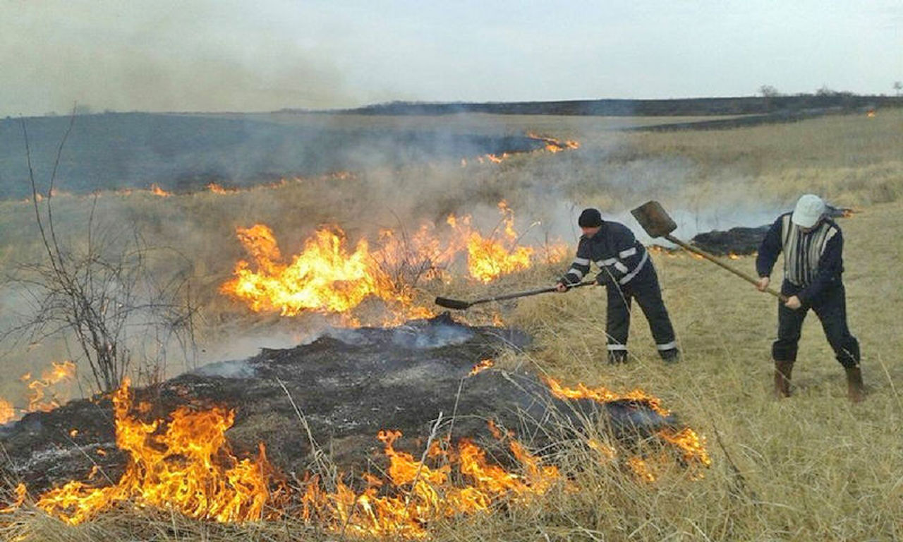 incendii-de-vegetatie
