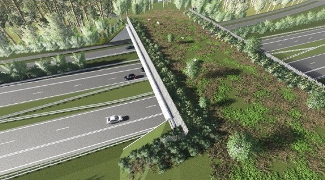 eco