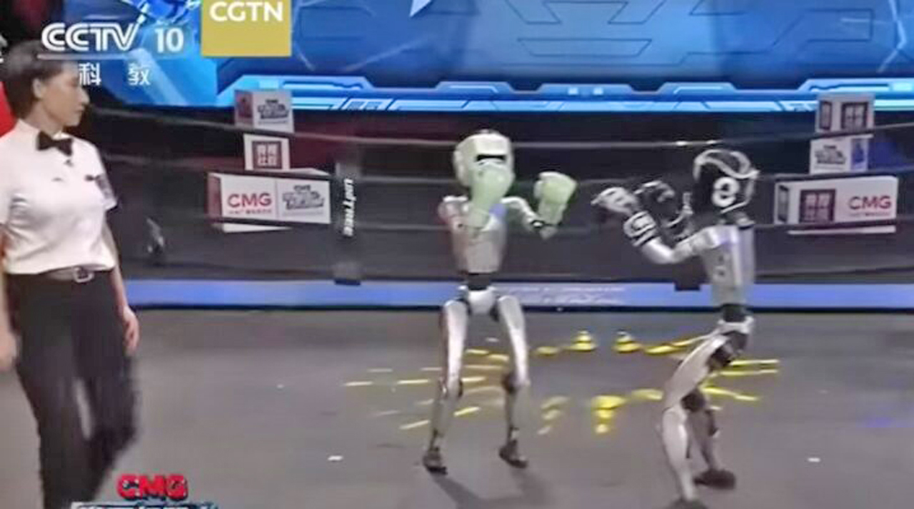 box-roboti-umanoizi