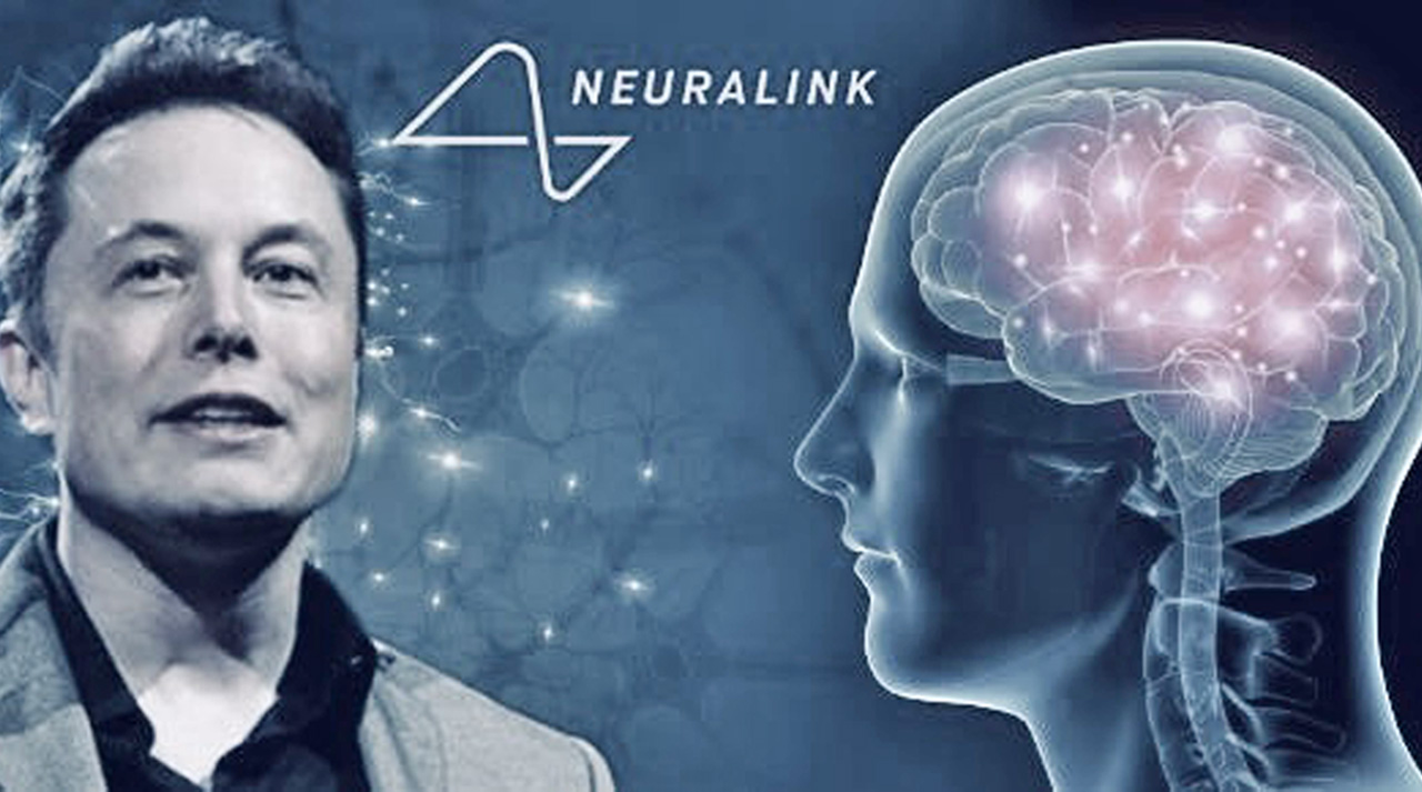 muskneuralinkobesidad-2