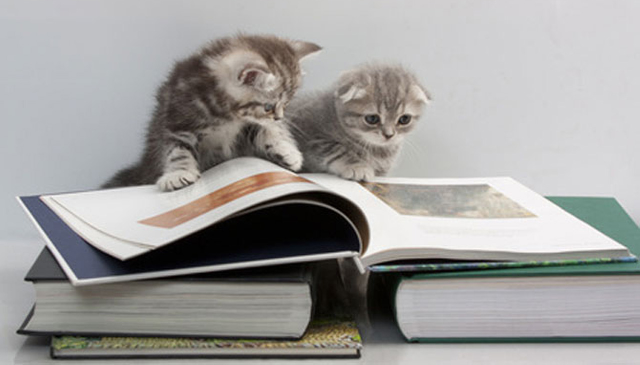 Caini-pisici-cititori11