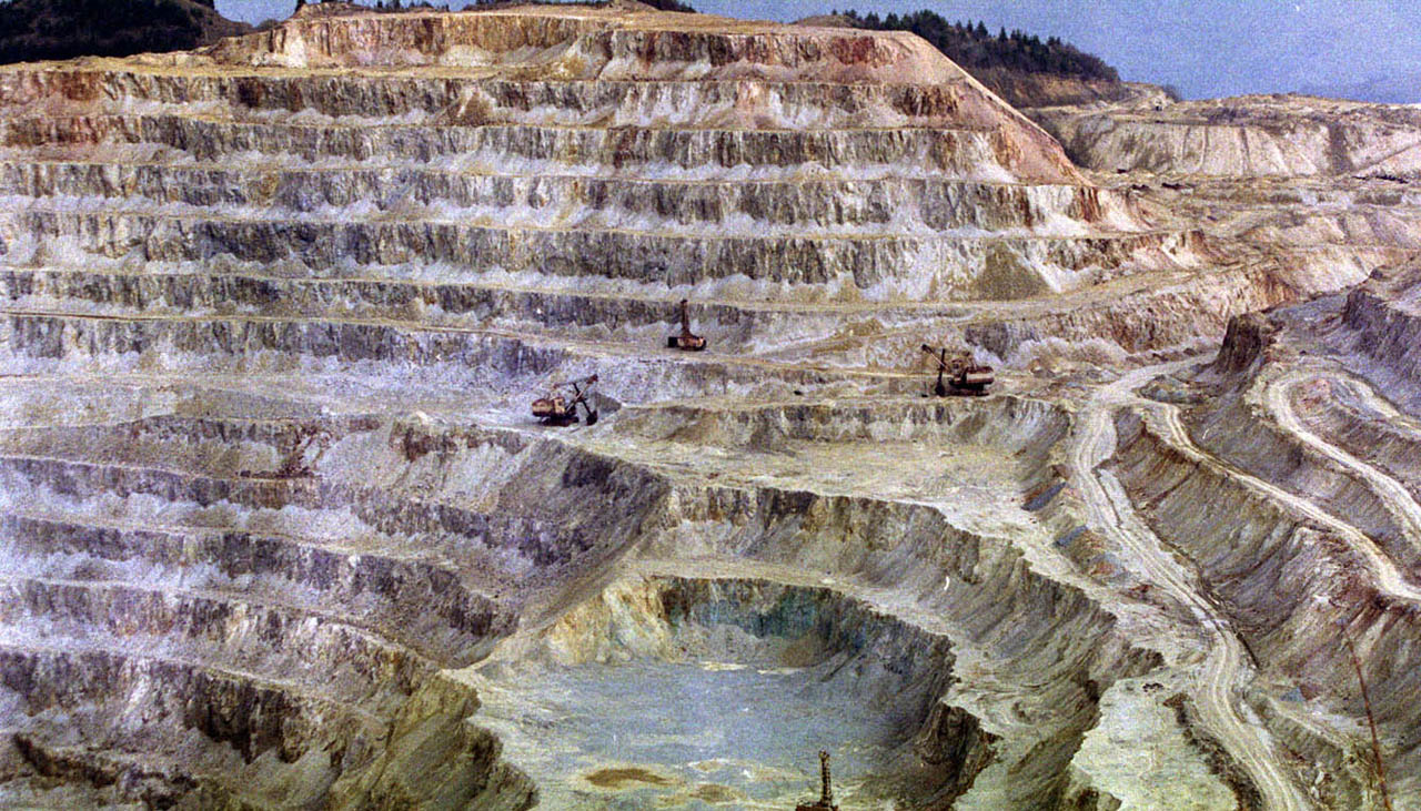 foto CODRUTA DRAGOESCU