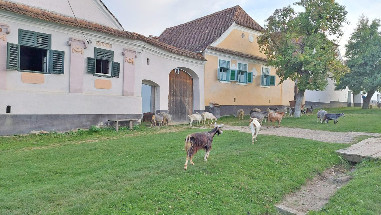 Turul-celor-mai-frumoase-sate-din-Transilvania