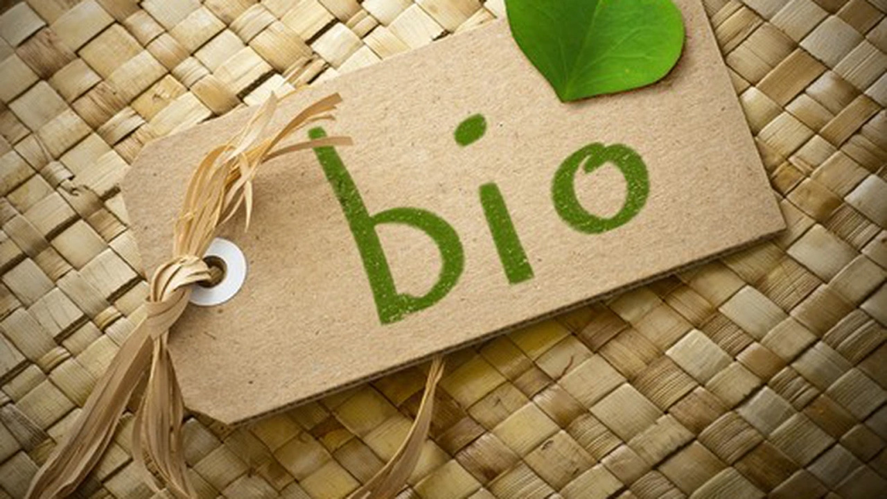 bio