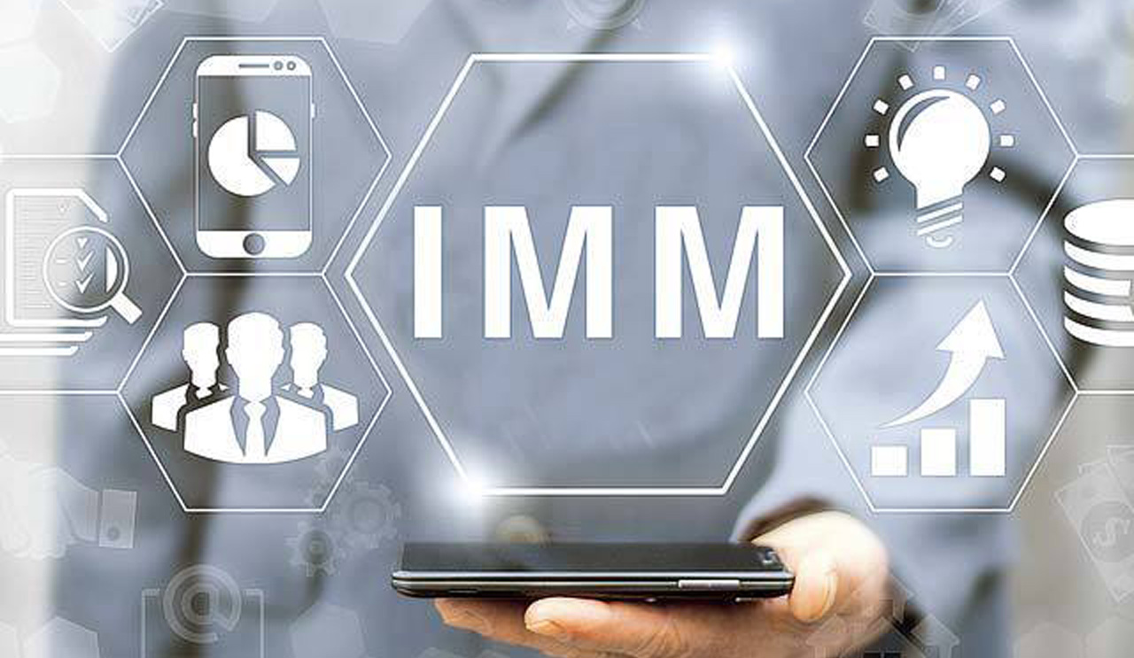 1-6-imm-