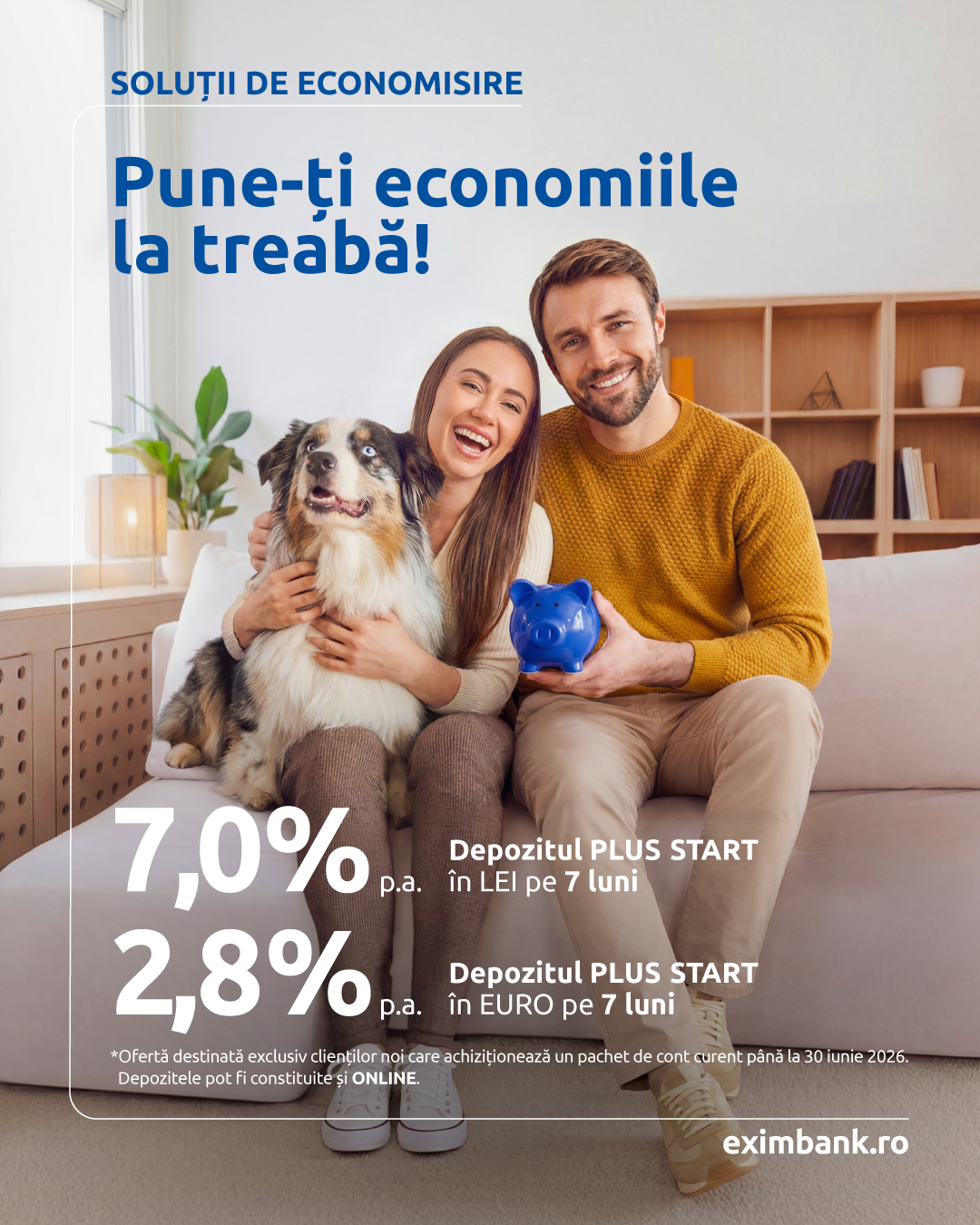 Depozit Plus Start Lei si Euro