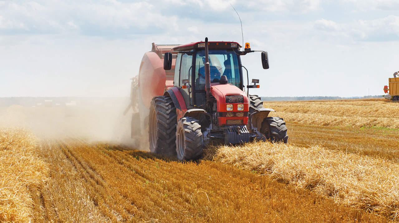 agricultura