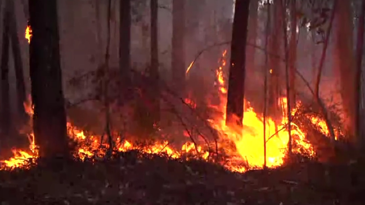 incendiu spania