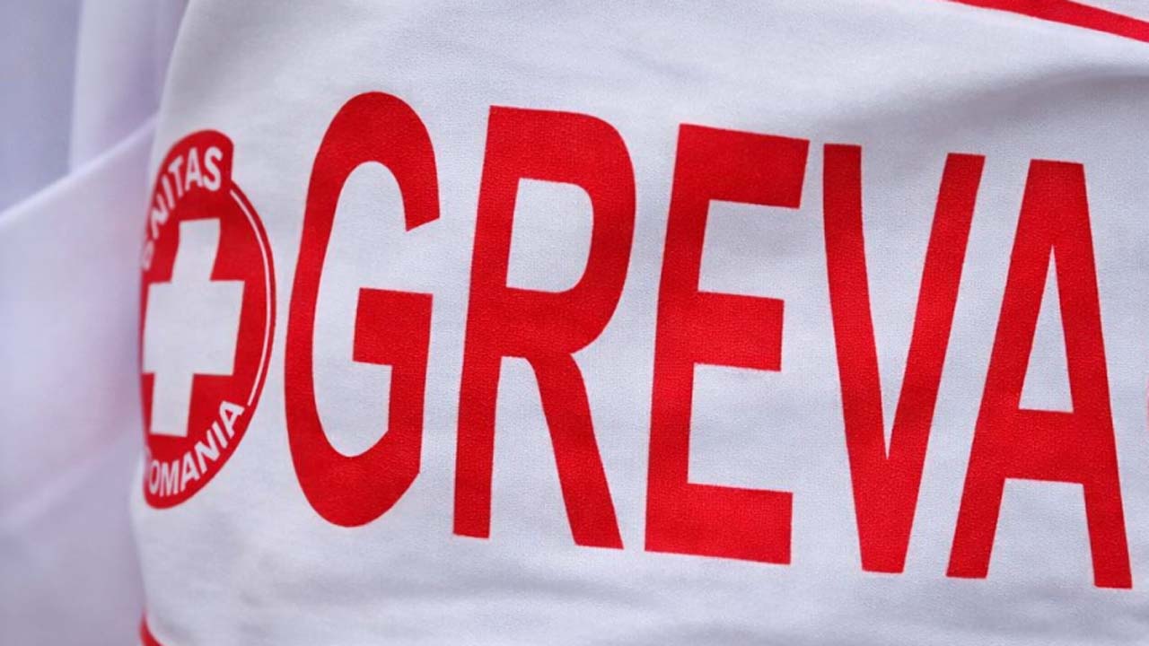 greva copy